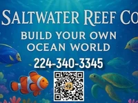 SaltwaterReefCo, aquarium installation, maintenance, IL, setup