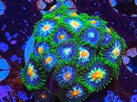 🎉 Get 10% OFF your first order