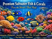 SaltwaterReefCo, aquarium installation, maintenance, IL