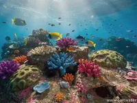 Complete reef aquarium setup: saltwater fish, corals, live rock