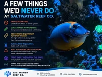🐠 Professional aquarium service in Wheeling, IL