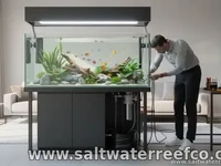 Custom Aquarium Installation