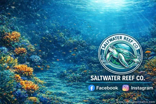 SaltwaterReefCo
