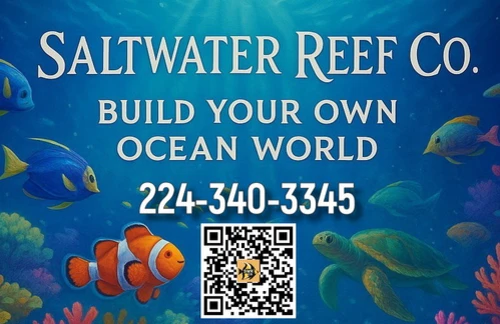 SaltwaterReefCo, aquarium installation, maintenance, IL, setup