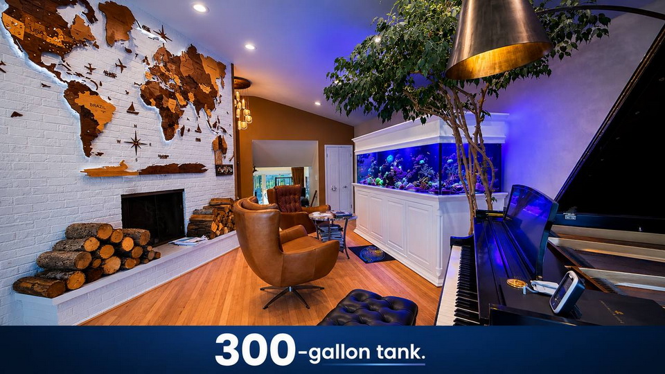 SaltwaterReefCo, aquarium installation, maintenance, IL