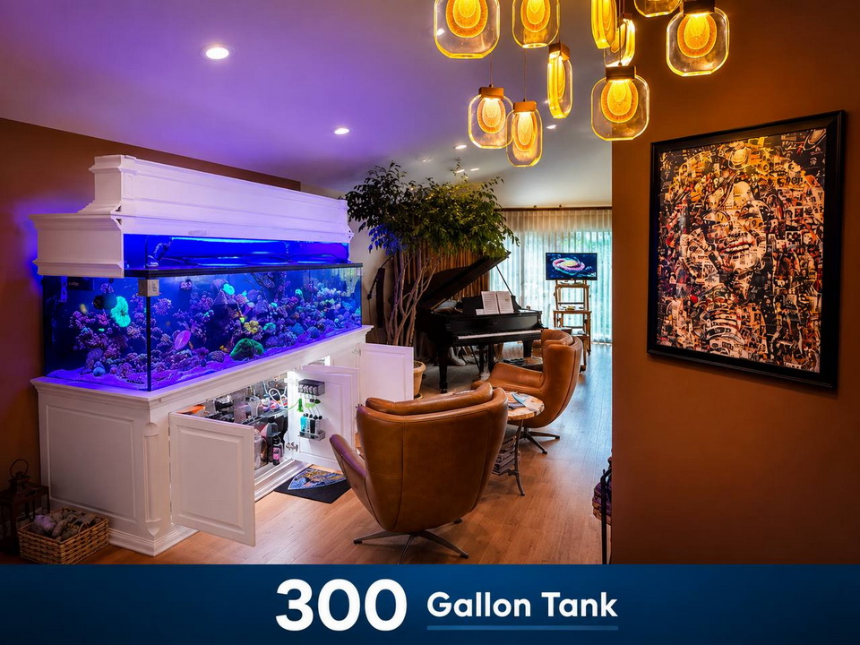 SaltwaterReefCo, aquarium installation, maintenance, IL