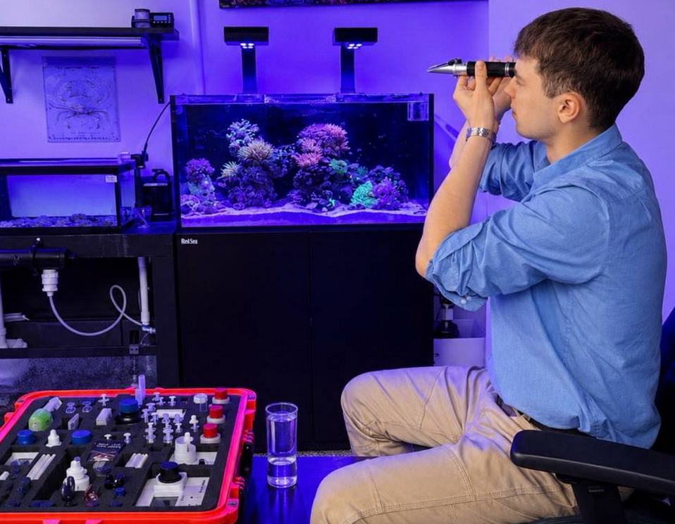 SaltwaterReefCo, aquarium installation, maintenance, IL