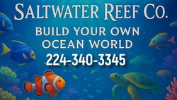 SaltwaterReefCo, aquarium installation, maintenance, IL, setup and maintain, aquariums for homes and businesses